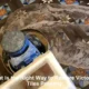 Victorian Tiles Restoration Techniques You Should Master