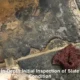 Slate Floor Restoration Timeframe in Australian Homes