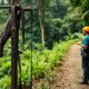 Canopy Tours: Thrilling Zip Lining Experiences in Belize