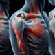 Acupuncture Techniques for Effective Relief from Frozen Shoulder