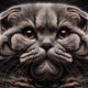 Scottish Fold Ear Maintenance: Essential Tips You Need