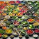 Plant-Based Diets for Pets: A Complete Overview