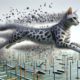 Egyptian Mau Speed Training to Boost Agility