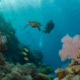 Belize Barrier Reef: Your 2025 Snorkelling Adventure Awaits