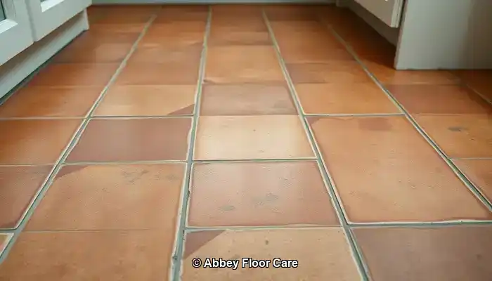 Understanding the Rapid Accumulation of Dirt on Terracotta Floors