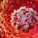 Ferritin Blood Test Insights for Bootle Residents’ Wellbeing