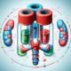 Thyroid Blood Test Tips for Telford Residents