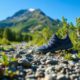 Xero Shoes Discounts for Amazing Footwear Deals