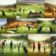 Golf Lessons in South Africa: A Quick Guide to Choosing