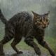 Cats Hate Water: Uncovering the Truth Behind the Myths