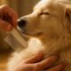 Flea Combing Routines: Key Tips for Caring for Pets