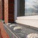 Bird Proofing Solutions: Gel Repellent Options Without Spikes