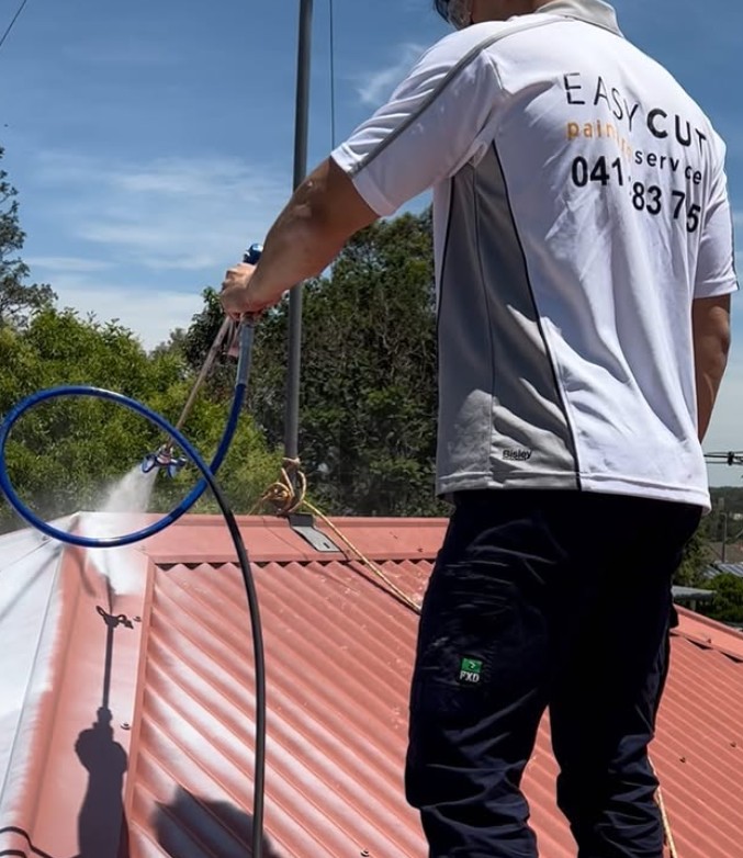 Metal Roof Painting Advice from a Hills District Specialist