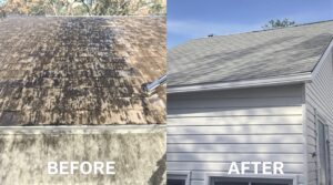 Enhance Your Home Maintenance Strategy with Professional Soft Washing Techniques