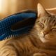 Grooming Gloves for Cats: The Ultimate Fur Care Tool