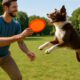 Frisbee Throwing Techniques for Effective Dog Training