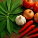 Cassava Leaf Stew: Nutritious Recipes for Family Dinners