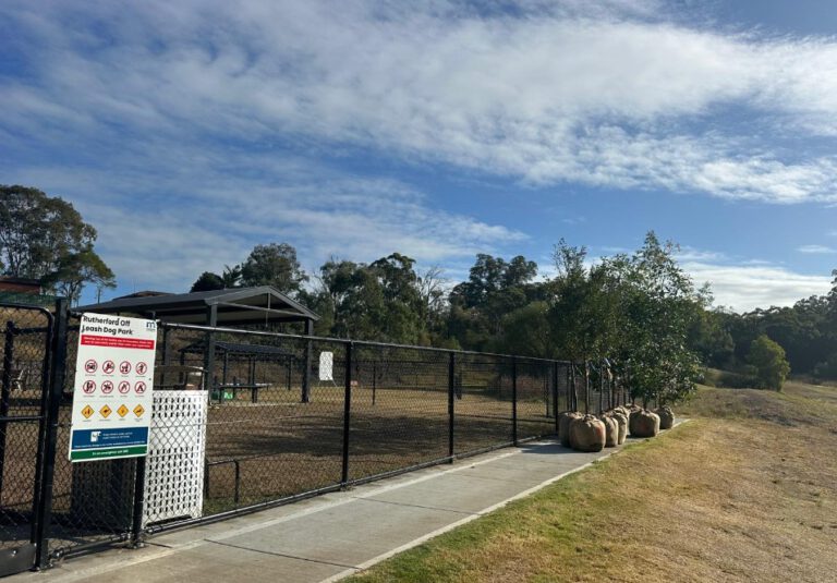 Tree Planting Initiative at Maitland’s Rutherford Dog Park