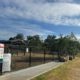 Tree Planting Initiative at Maitland’s Rutherford Dog Park