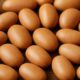 Fermented Locust Bean Ogiri: Simple Recipe to Make at Home