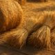 Hay and Straw: Creative Cooking Ideas to Try