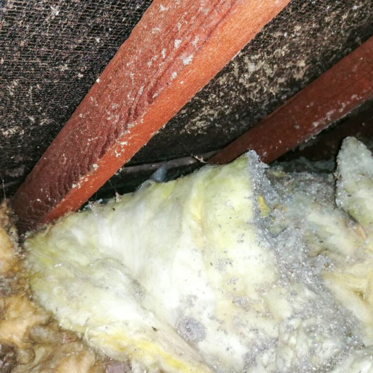 Asbestos Concerns: Essential Tips for Skip Bin Hire