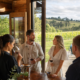 Wine Tasting Tours in Victoria: Best Picks for 2026