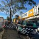 Crane-Assisted Tree Removal: Edgeworth Case Study