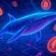 Whale Wallet Monitoring: Track Your Assets Effectively