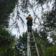 Mid North Coast Electrical Defect Notice Response Guide