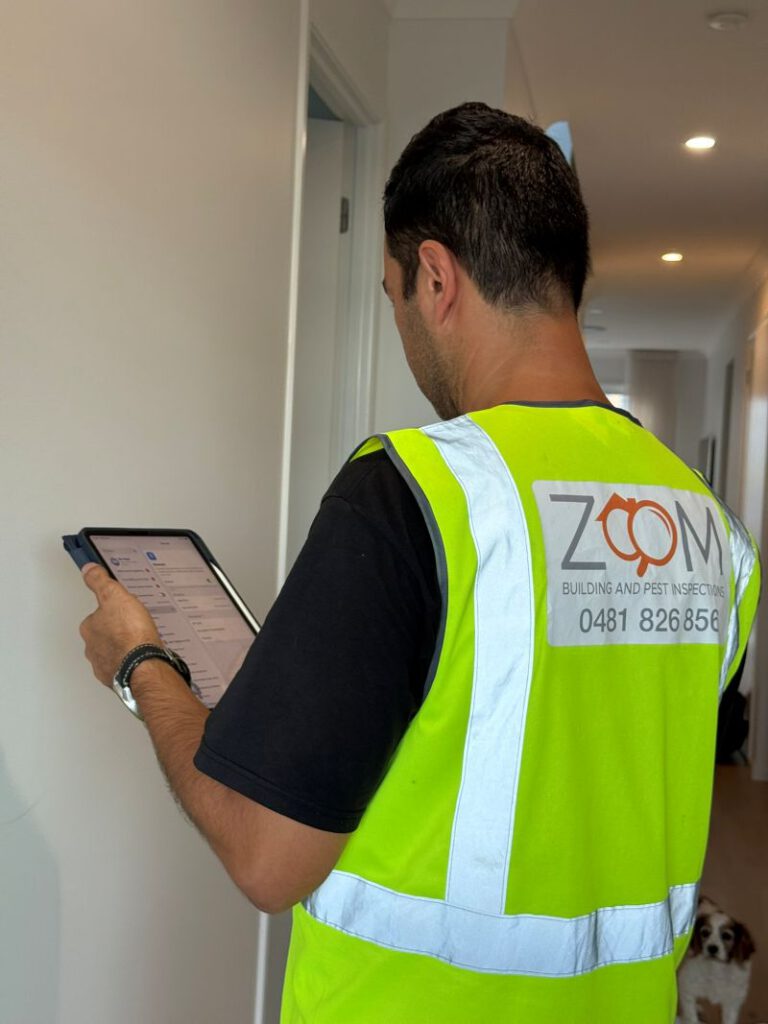 Building and Pest Inspection Comparison for Brisbane Residents