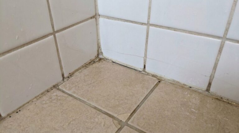 Shower Reseal: Is It a Genuine Solution or a Temporary Fix?